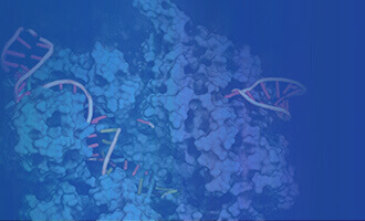 CRISPR 服务